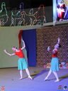 IMG_8829.jpg