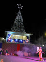 IMG_8857.jpg