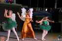 IMG_8865.jpg