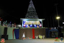 IMG_8869.jpg