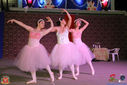 IMG_8884.jpg