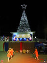 IMG_8909.jpg