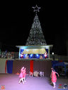 IMG_8910.jpg