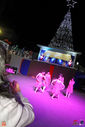 IMG_8920.jpg