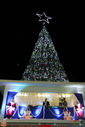 IMG_8974.jpg