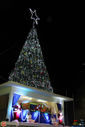 IMG_8989.jpg