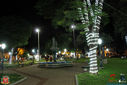 IMG_9266.jpg