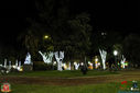 IMG_9295.jpg