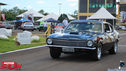 IMG_7520.jpg