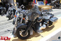 IMG_7565.jpg