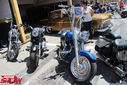 IMG_7566.jpg