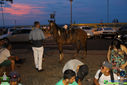 IMG_9252.jpg