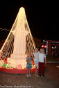IMG_8356.jpg