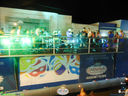DSC02323.jpg