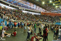 Filename=IMG_4100.jpg
Filesize=303KiB
Dimensions=790x527
Date added=Dec 05, 2017 IMG_4100.jpg