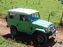 DSC08235.jpg