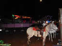 Filename=DSC09068.jpg
Filesize=90KiB
Dimensions=790x593
Date added=May 08, 2017 DSC09068.jpg