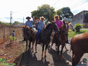 Filename=DSC09868.jpg
Filesize=150KiB
Dimensions=790x593
Date added=May 08, 2017 DSC09868.jpg