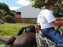 DSC09877.jpg