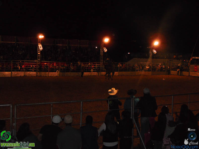 DSC00490.jpg
