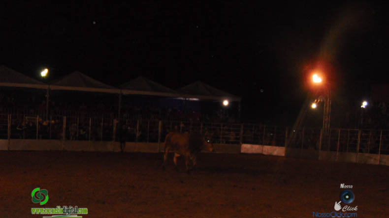 DSC00526.jpg