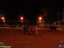 DSC00527.jpg