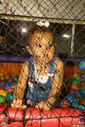 IMG_8951.jpg