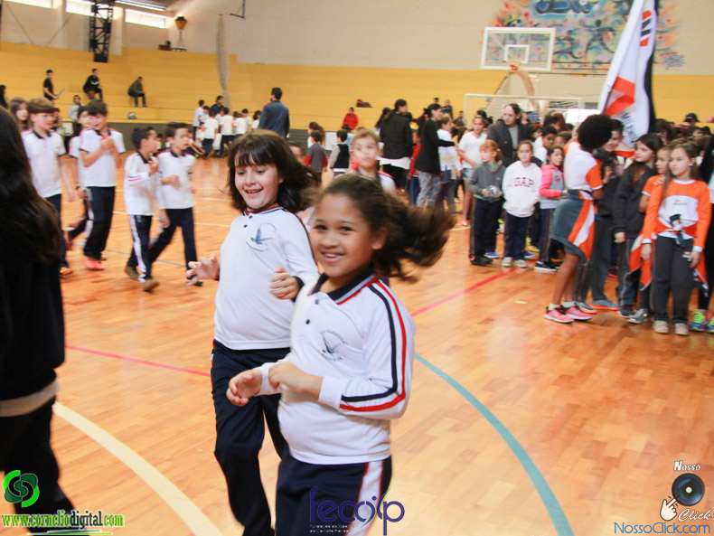 IMG_7261.jpg