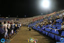 446.jpg