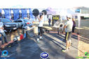 Filename=IMG_2829.jpg
Filesize=207KiB
Dimensions=790x527
Date added=Jun 06, 2017 IMG_2829.jpg