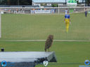 DSC02816.jpg