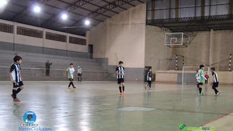 IMG_5446.jpg