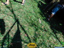DSC03375.jpg