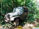DSC03415.jpg