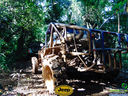 DSC03495.jpg