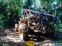 DSC03496.jpg