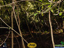 DSC03525.jpg