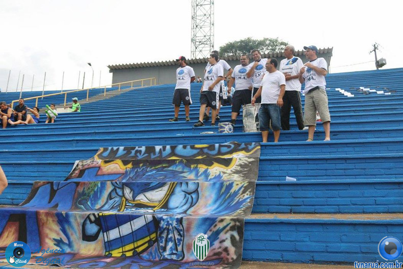 201.jpg