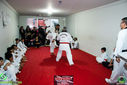 IMG_1178.jpg