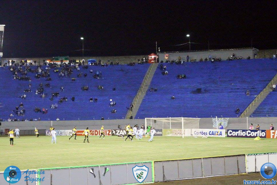 262.jpg
