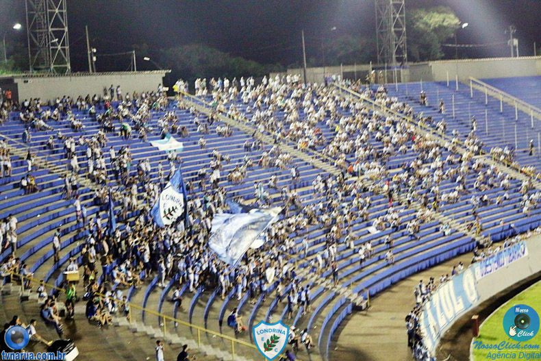 519.jpg