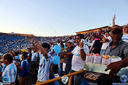 196.jpg