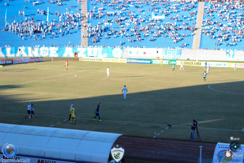 IMG_8903.jpg