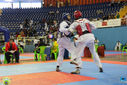 IMG_9353.jpg