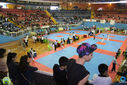 IMG_9446.jpg