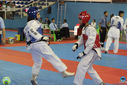 IMG_9652.jpg