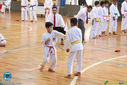 IMG_3992.jpg