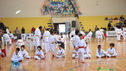 IMG_3996.jpg