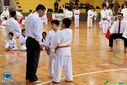 IMG_3998.jpg