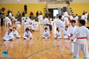 IMG_4000.jpg